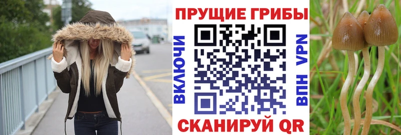 hydra сайт Наволоки Галлюциногенные грибы GOLDEN TEACHER